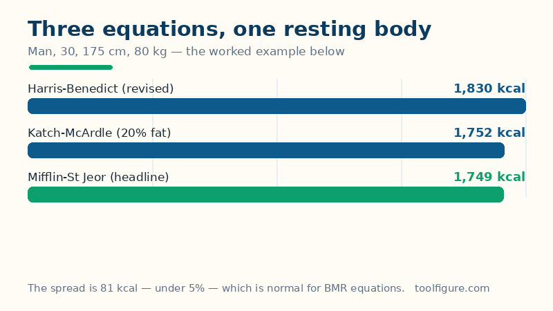 Bar chart of the worked example's three BMR estimates for a 30-year-old man, 175 cm and 80 kg: Harris-Benedict revised 1,830 kcal, Katch-McArdle 1,752 kcal and Mifflin-St Jeor 1,749 kcal
