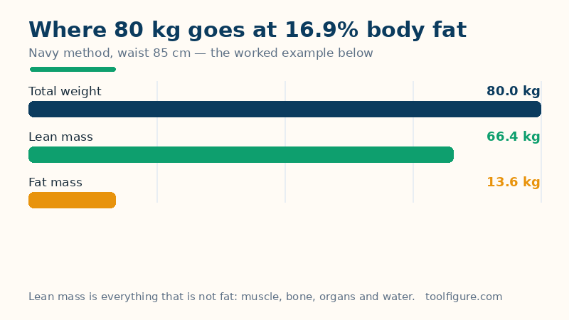 Bar chart of the worked example's 80 kg split by the Navy estimate of 16.9 percent body fat: 66.4 kg of lean mass and 13.6 kg of fat mass