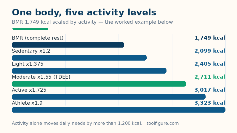 Bar chart of the worked example's daily calories: a basal metabolic rate of 1,749 kcal rising with activity to 2,099 sedentary, 2,405 light, 2,711 moderate, 3,017 active and 3,323 for an athlete