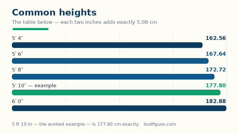 Bar chart of common heights: 5'4