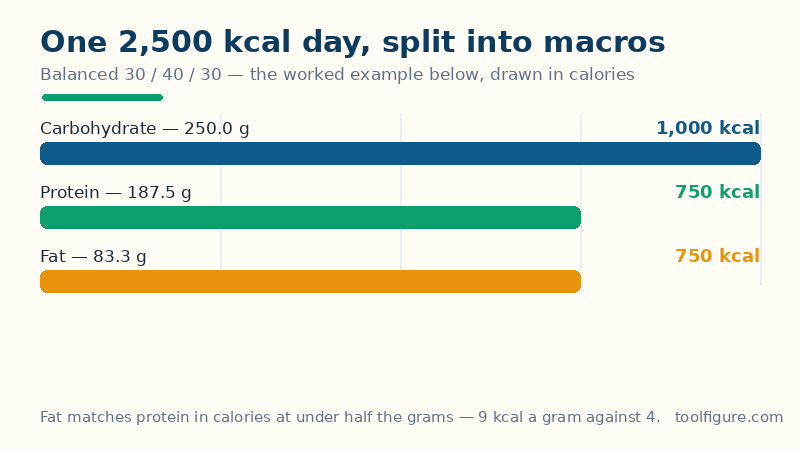 Bar chart of the calories inside each macro on a balanced 2,500 kcal day: 750 kcal of protein, 1,000 kcal of carbohydrate and 750 kcal of fat
