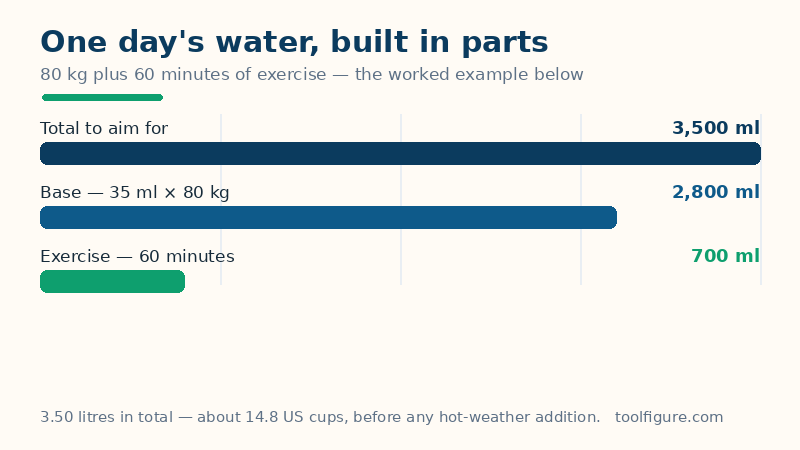 Bar chart of the worked example's daily water: a base of 2,800 ml for an 80 kg body, plus 700 ml for an hour of exercise, making a 3,500 ml total